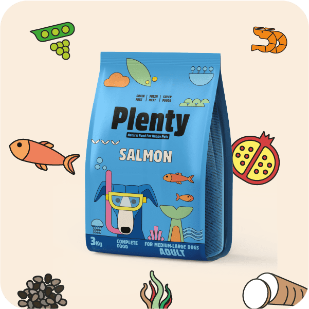 SALMÓN FRESCO PERRO MEDIANO/GRANDE ADULTO