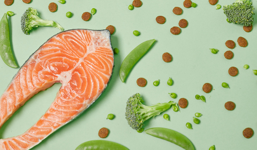 foto ingredientes naturales conocenos e1748344922251