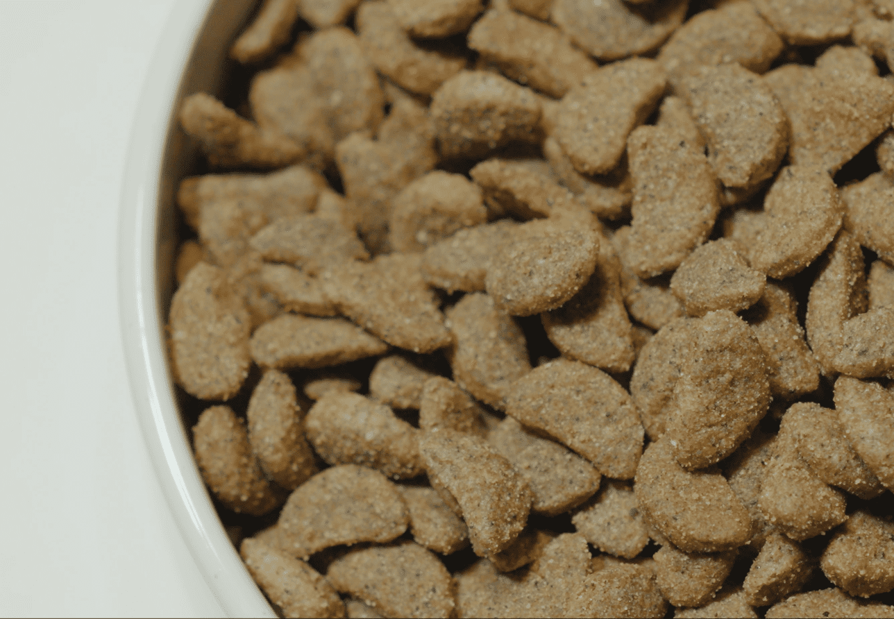 foto sabor irresistible conocenos e1748349897677